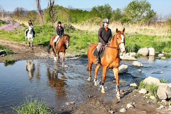 利根川の浅瀬を馬で渡る外乗の様子