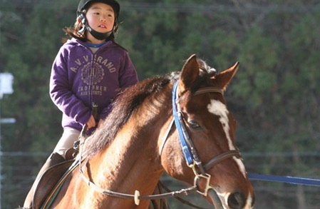 ヘルメットをかぶって馬に乗る女の子