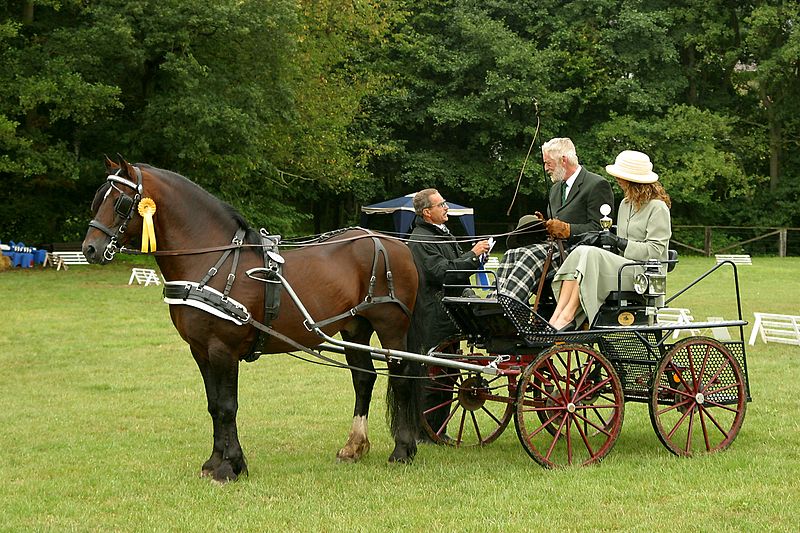 Welsh-D-Kutsche
