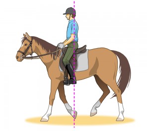 乗馬の騎乗姿勢