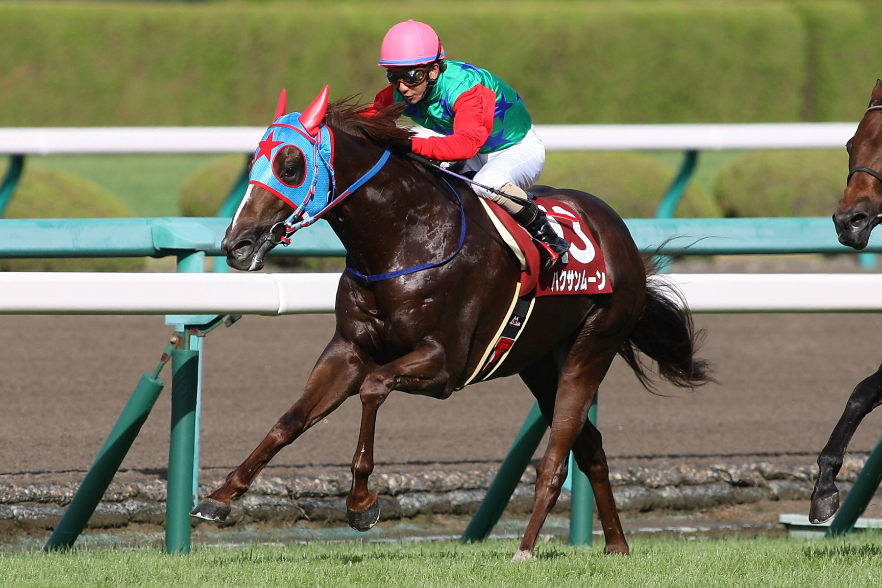 高松宮記念ハクサンムーン